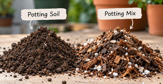 Potting soil and potting mix labelled on a table