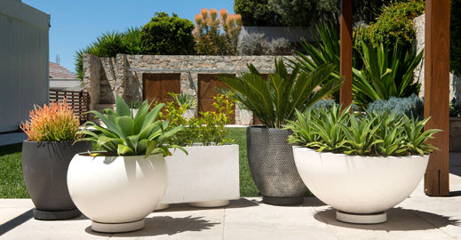 What’s the best way to move large potted plants around?