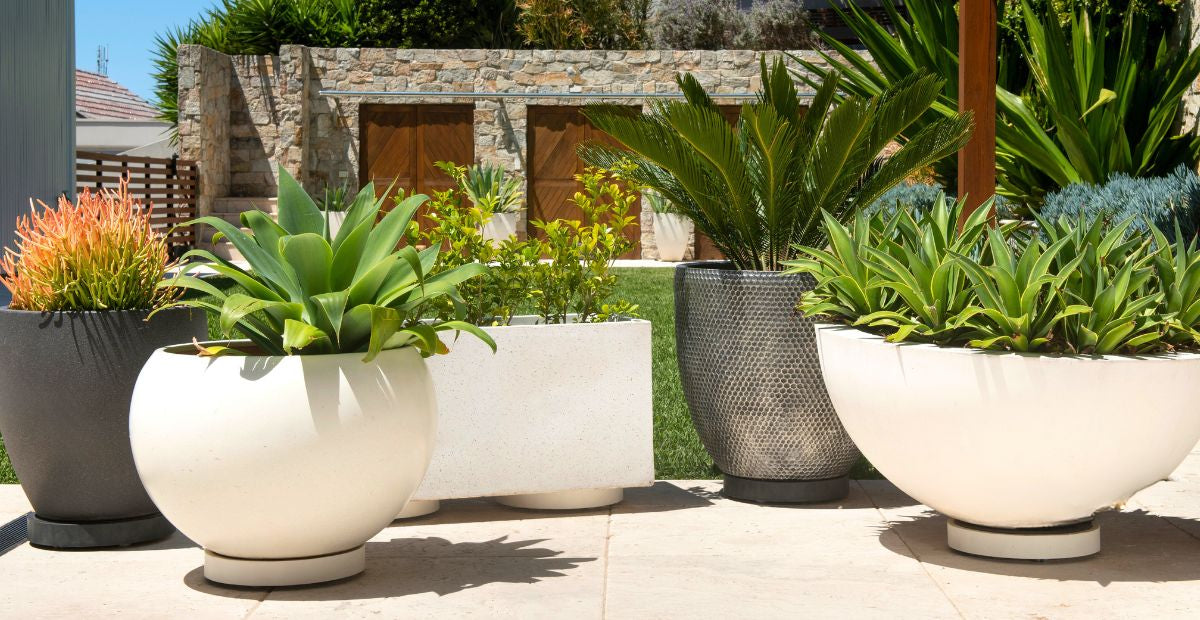 What’s the best way to move large potted plants around?