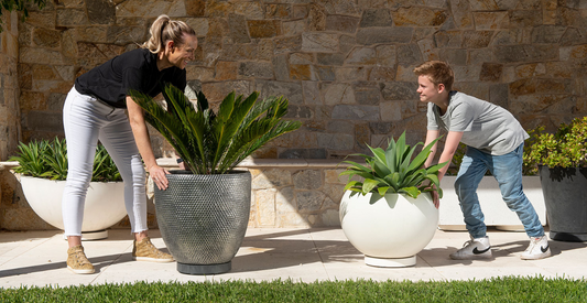 Home Garden Tips: 6 Benefits of a Plant Caddy