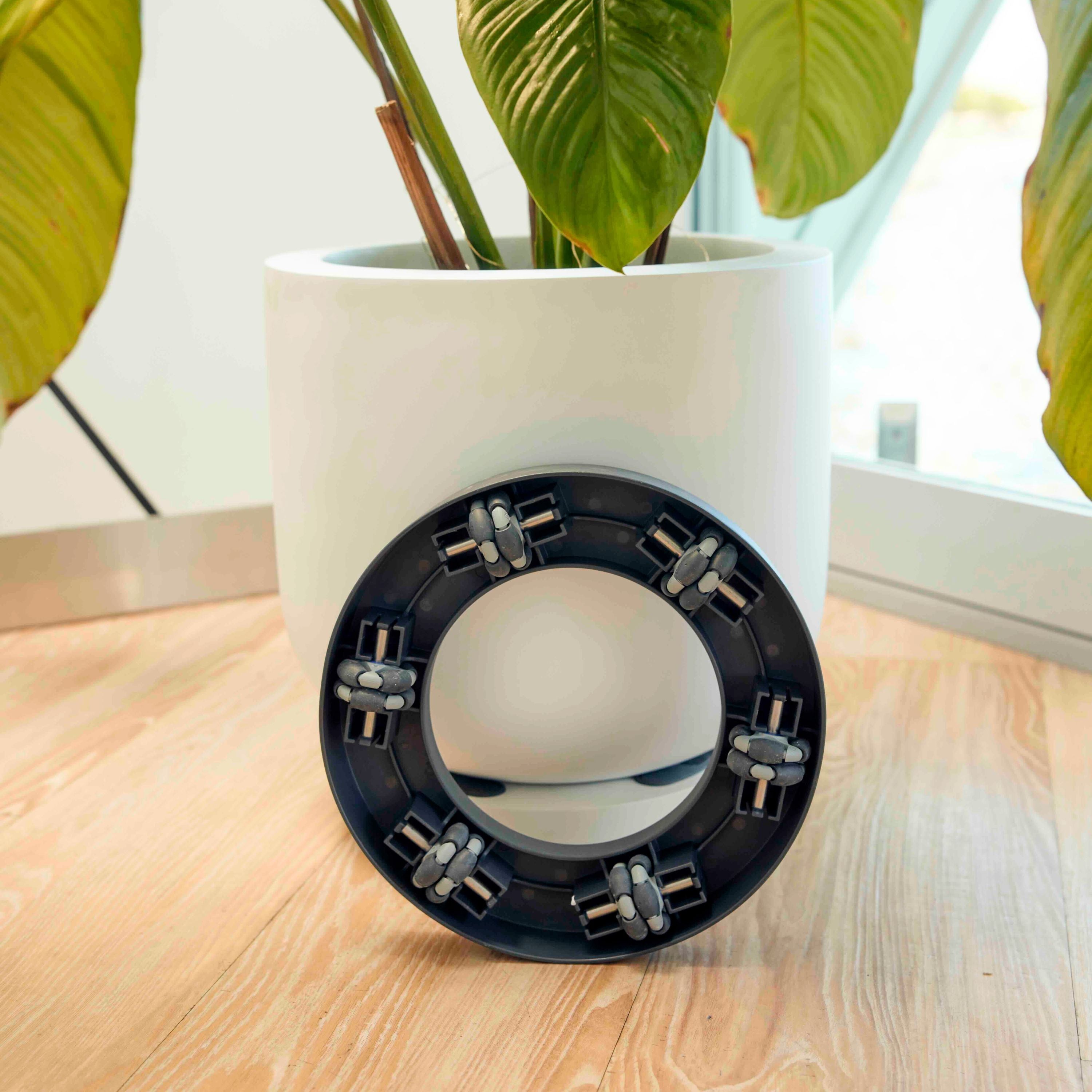 Plant Glider | 30cm (50kg)