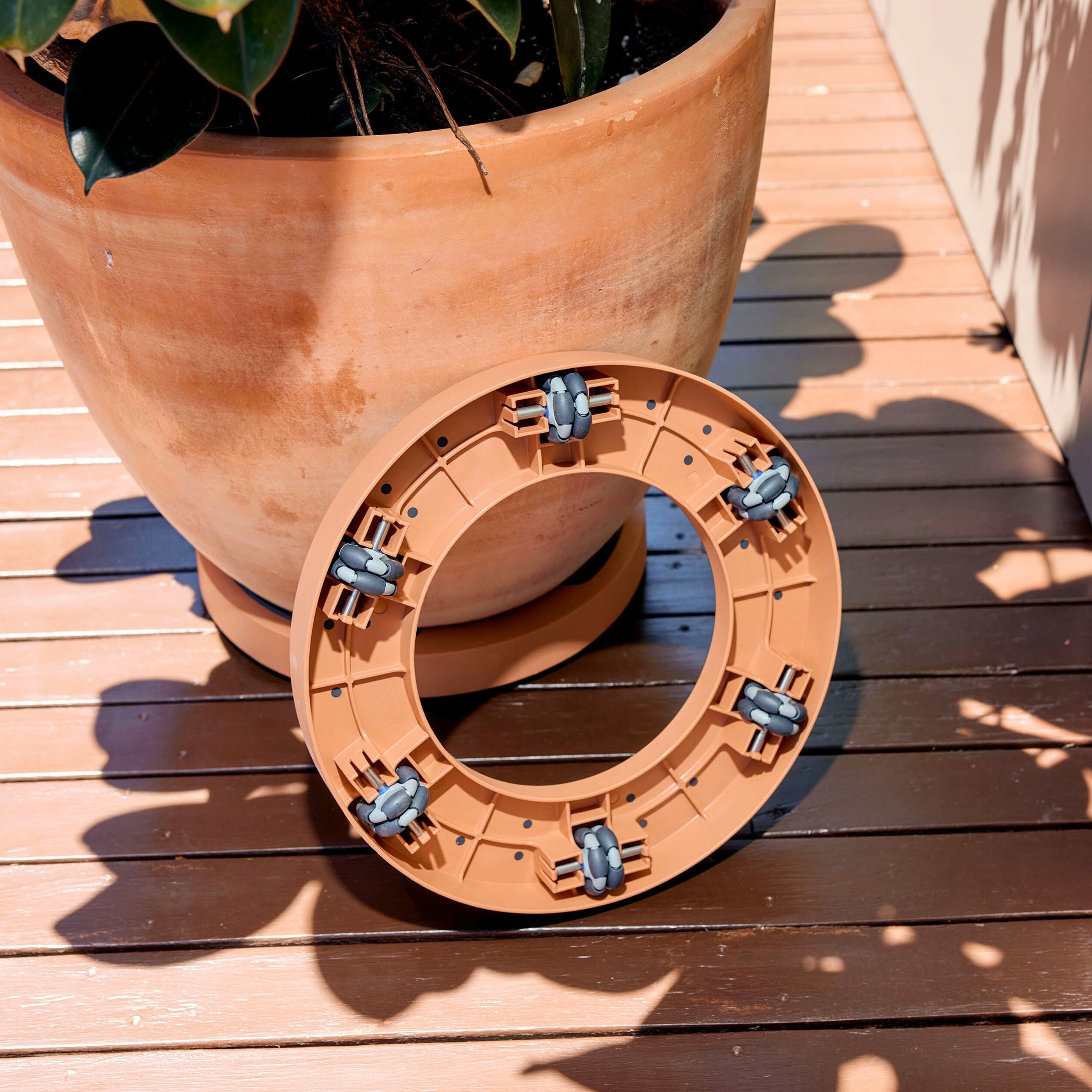 Plant Glider | 40cm (90kg)