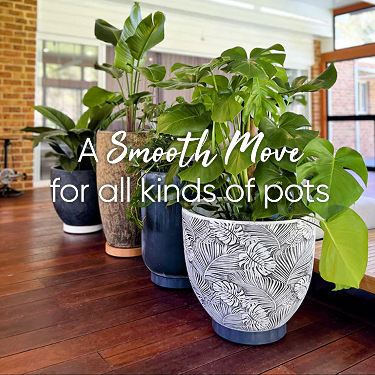 The Original Plant Glider | 30cm (50kg)