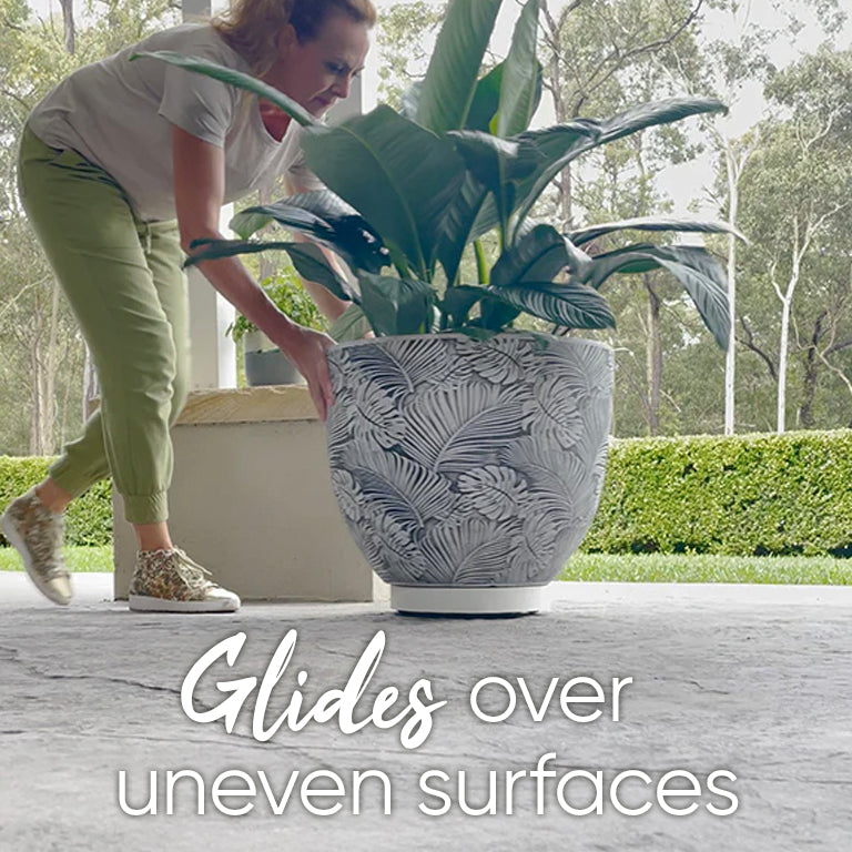 The Original Plant Glider | 30cm (50kg)