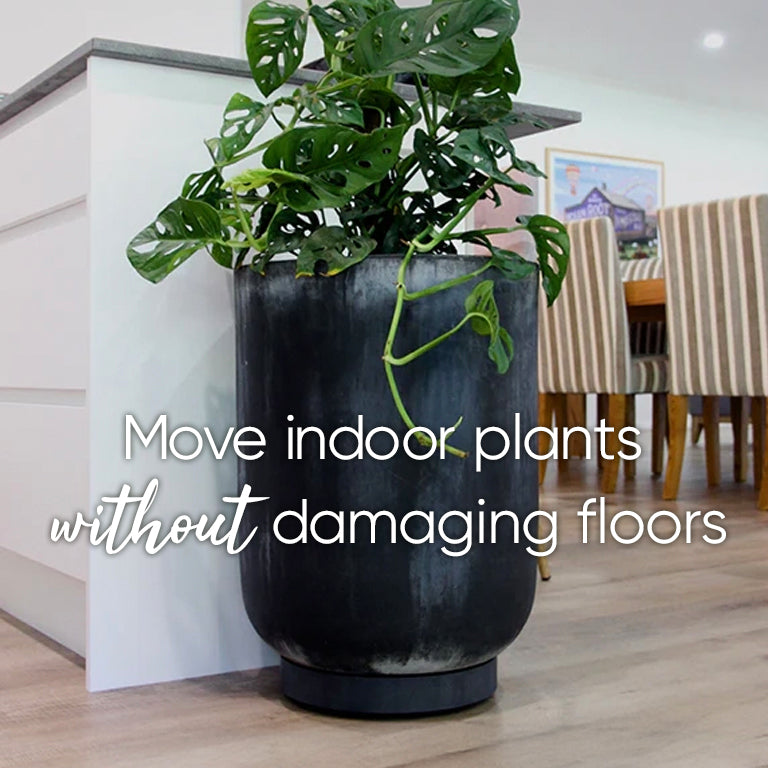 The Original Plant Glider | 30cm (50kg)