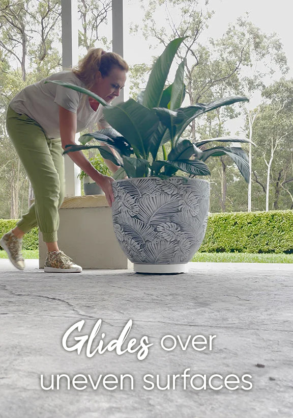 Plant Glider | 40cm (90kg)