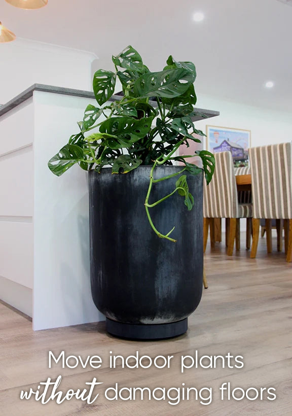 Plant Glider | 40cm (90kg)