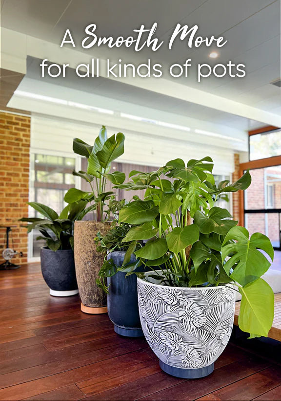 Plant Glider | 40cm (90kg)