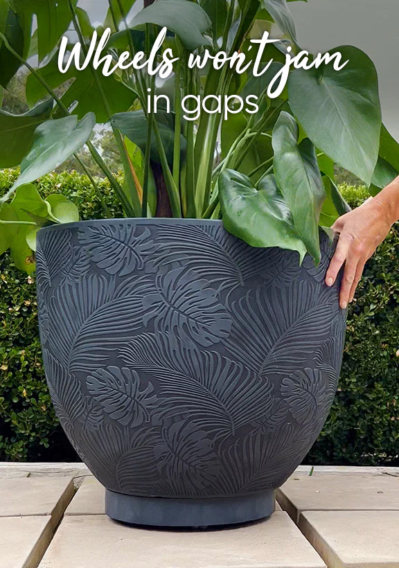 Plant Glider | 40cm (90kg)