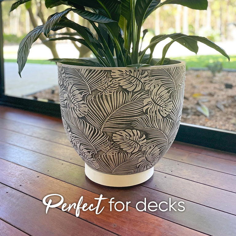 The Original Plant Glider | 30cm (50kg)