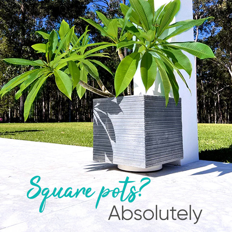 The Original Plant Glider | 30cm (50kg)