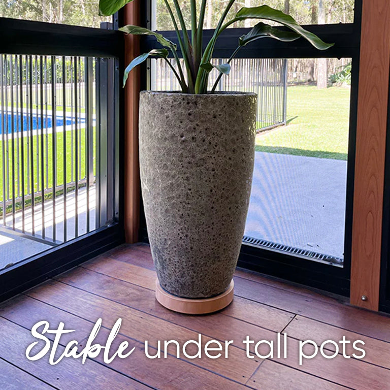 pot plant wheelbase The Original Plant Glider | 30cm (50kg)