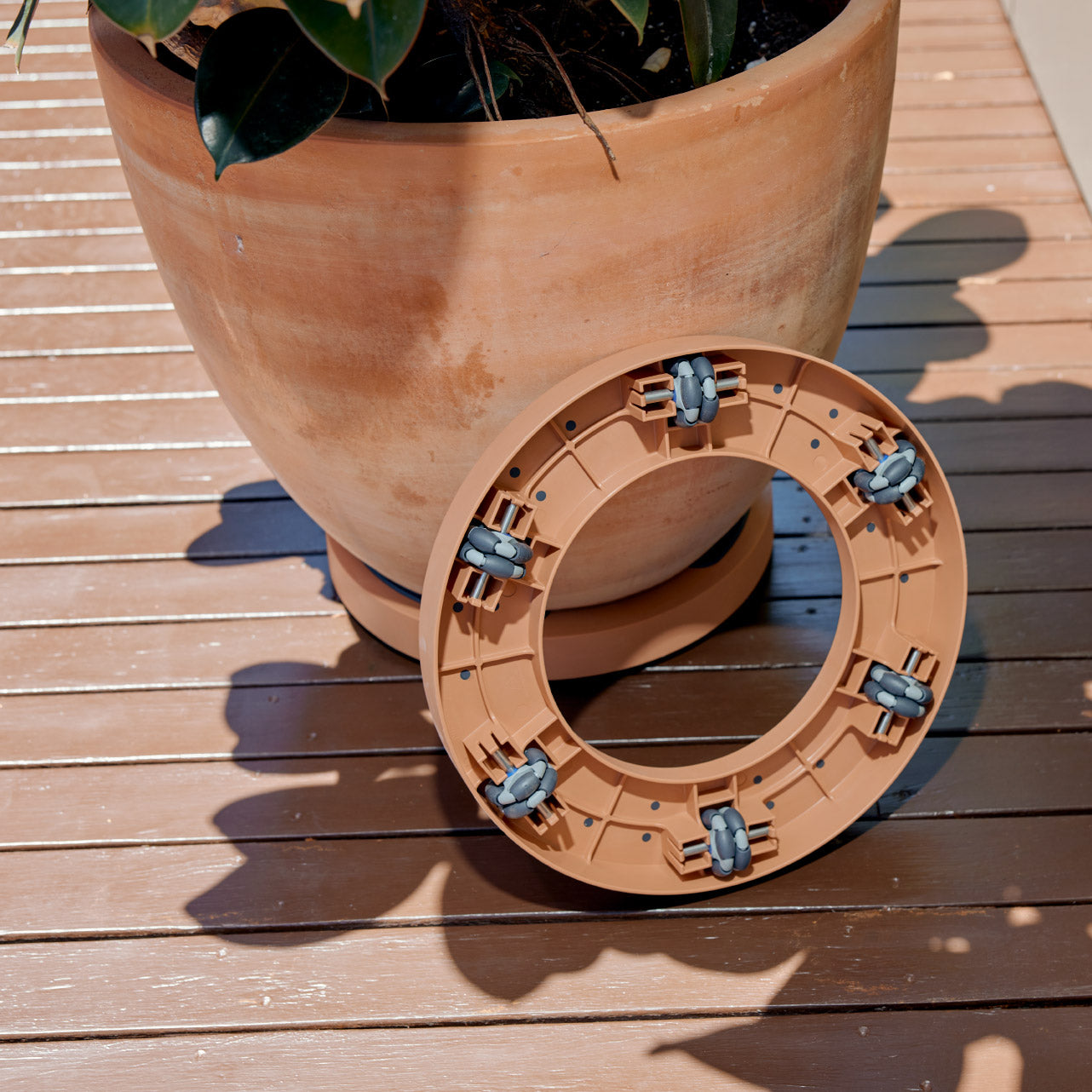 Plant Glider | 40cm (90kg)