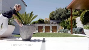 The Original Plant Glider | 30cm (50kg)