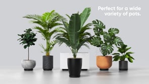 What makes Omnia Plant Glider different to other plant trolleys