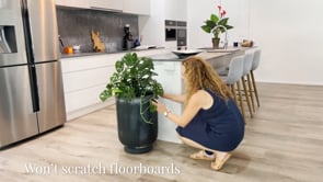 Plant Glider | 40cm (90kg)