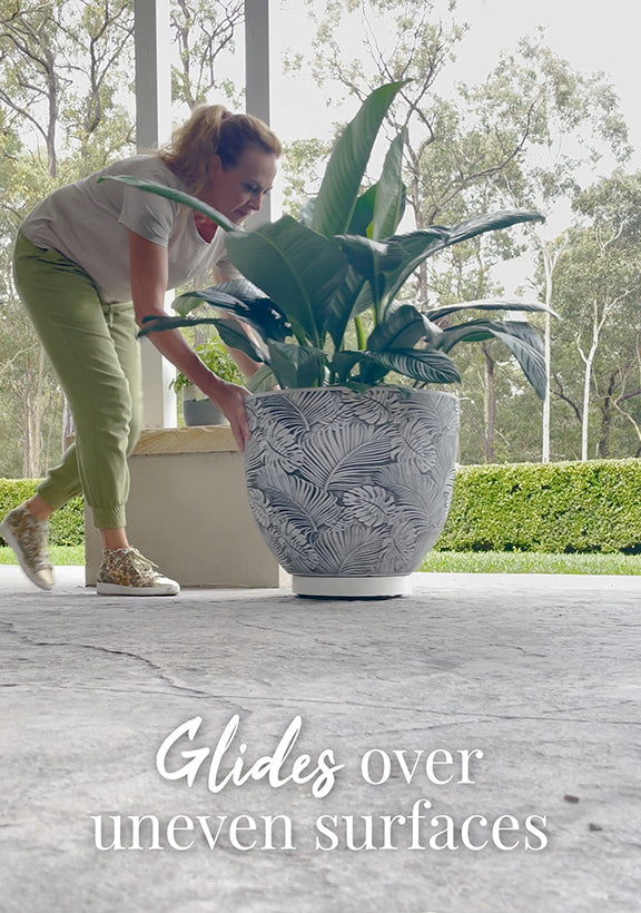 The Original Plant Glider | 30cm (90kg)