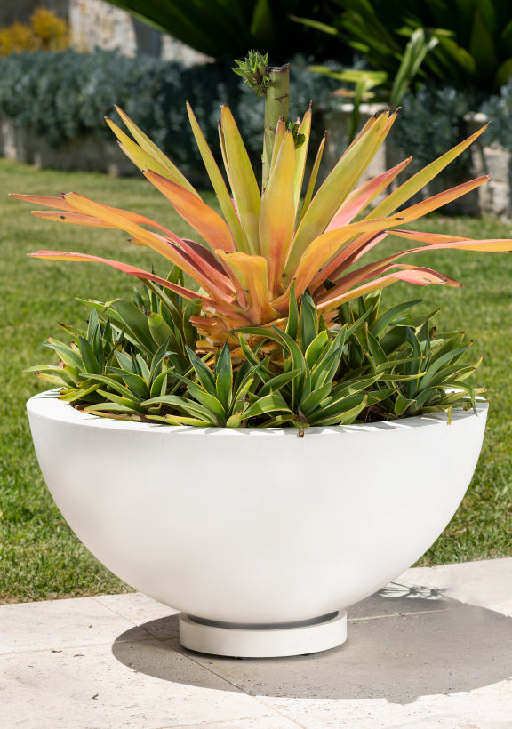 The Original Plant Glider | 30cm (50kg)