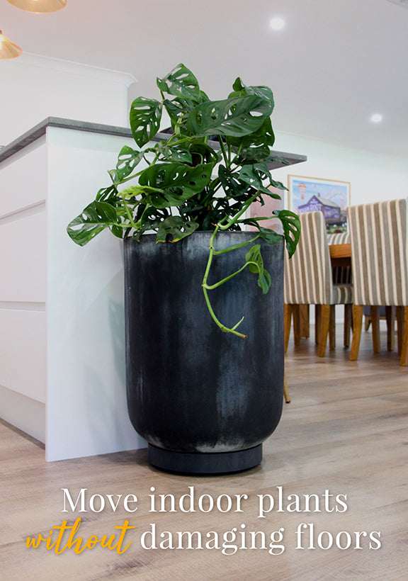 The Original Plant Glider | 30cm (50kg)