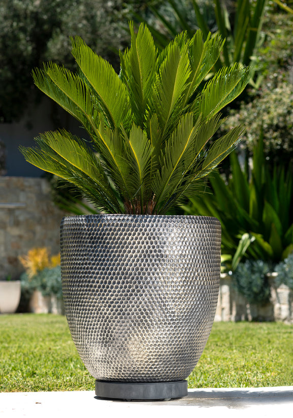 The Original Plant Glider | 30cm (50kg)