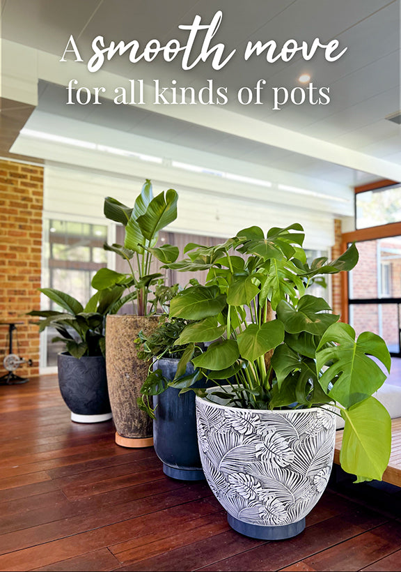 The Original Plant Glider | 30cm (50kg)