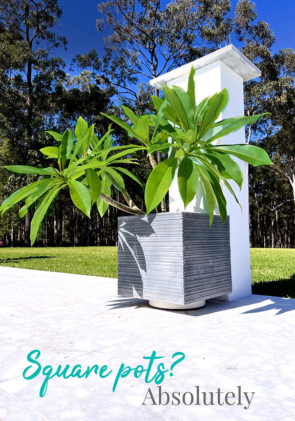 The Original Plant Glider | 30cm (90kg)