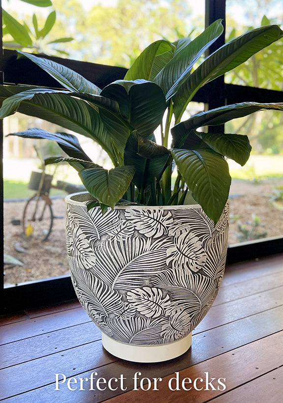 The Original Plant Glider | 30cm (50kg)