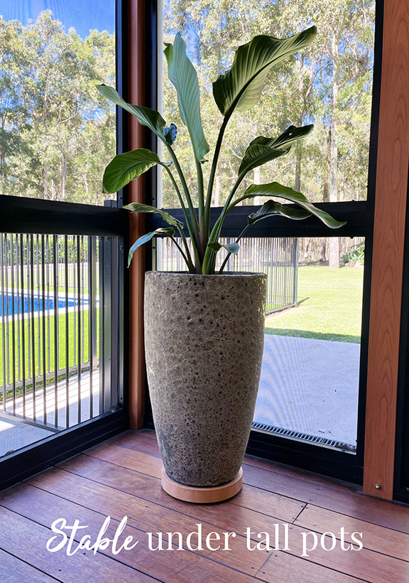 The Original Plant Glider | 30cm (50kg)