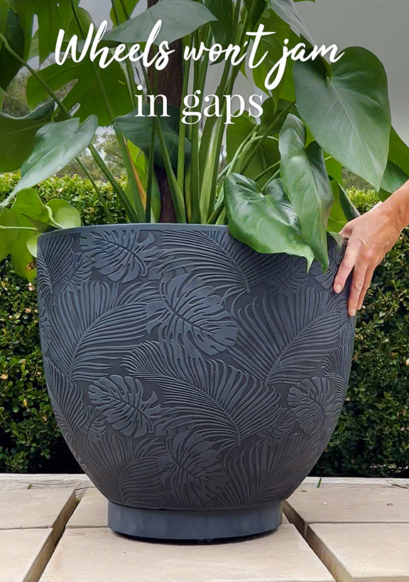 The Original Plant Glider | 30cm (90kg)