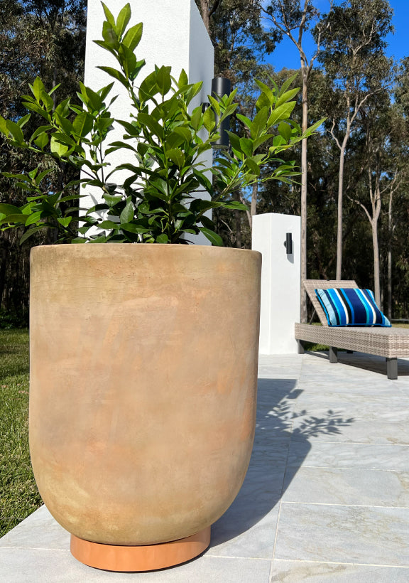 The Original Plant Glider | 30cm (90kg)